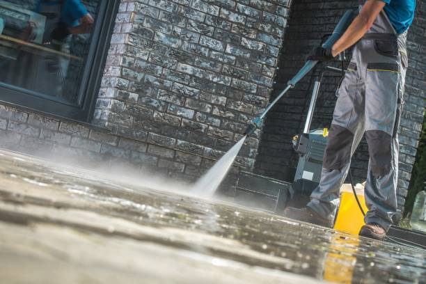 Best Roof Washing  in Rockvale, TN